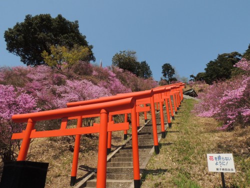 DSCN7670　獅子崎稲荷神社